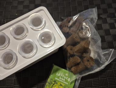 DIY Indoor Hydroponics Part 1: Starting Bibb Lettuce From Seed