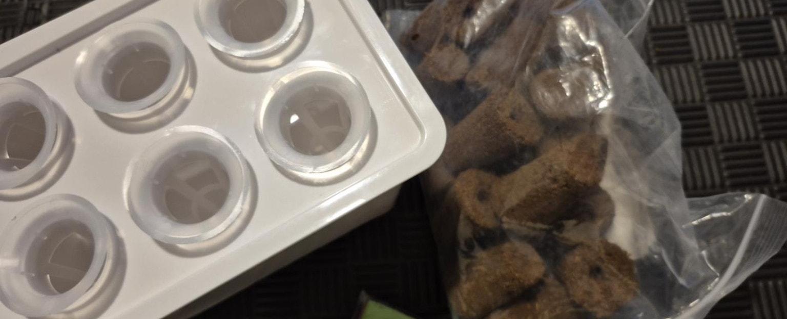 DIY Indoor Hydroponics Part 1: Starting Bibb Lettuce From Seed