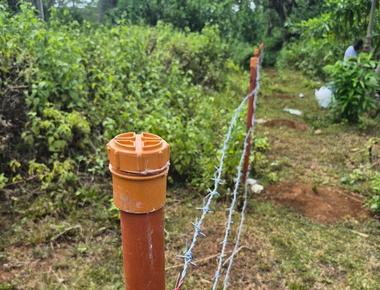 Camotes Farm Update: Fencing With GI Tubes and Barbed Wire, and Why I'm Removing the Jatropha