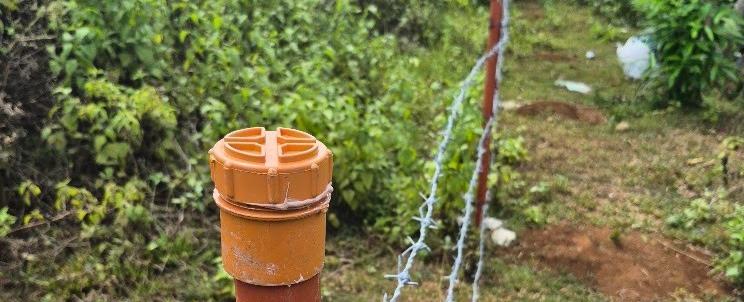 Camotes Farm Update: Fencing With GI Tubes and Barbed Wire, and Why I'm Removing the Jatropha
