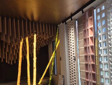 WPC for Tropical Builds: GreenZone Visit, Co-Extruded vs Uncapped Decking, and Why Most Showroom WPC Won't Survive the Philippines