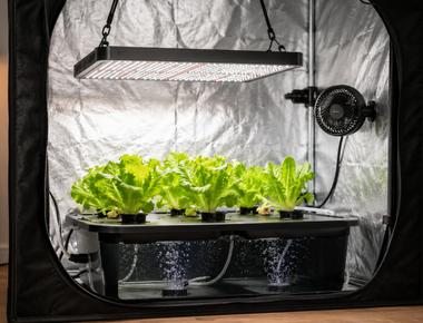 DIY Indoor Hydroponics Part 2: Starting Simple Before I Automate It